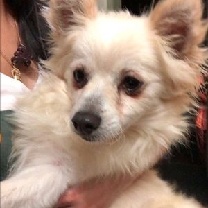 Meet your Posher, Phi